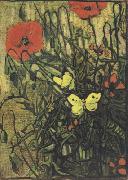 Vincent Van Gogh Poppies and Butterflies (nn04) oil